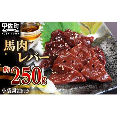 ふるさと納税 甲佐町 ★配送月指定可能★[毎月200セット限定]馬肉 250g[レバー]