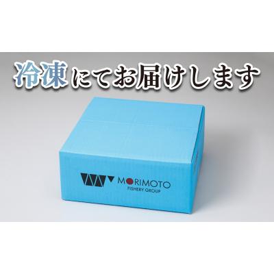 ふるさと納税 下関市 ふぐ 刺身 鍋 セット 3人前 100g 冷凍 高級魚 とらふぐ 下関 山口 FR006_2