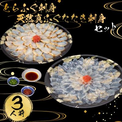 ふるさと納税 下関市 とらふぐ刺身・天然真ふぐたたき刺身セット3人前