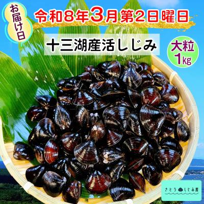 ふるさと納税 つがる市 さとうしじみ屋の十三湖産活しじみ(大粒1kg) [0821]
