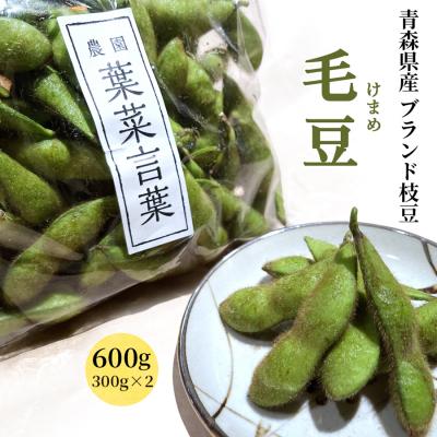 ふるさと納税 つがる市 葉菜言葉のおいしい毛豆 600g [0532]