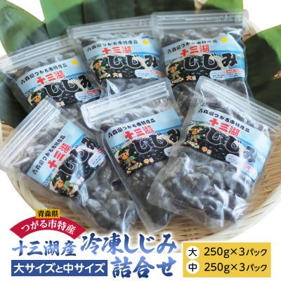 ふるさと納税 つがる市 十三湖産 冷凍しじみ大・中サイズ詰合せセット [0433]