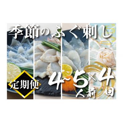 ふるさと納税 下関市 定期便 フグ ふぐ てっさ 刺し身 炙り刺し 4~5人前 鮮魚 下関 山口 たたき