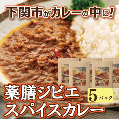 ふるさと納税 下関市 薬膳 ジビエ スパイス カレー 下関産 鹿肉 170g × 5袋 お取り寄せ EW005-NT