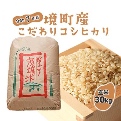 ふるさと納税 境町 【令和7年産】境町こだわり玄米 「コシヒカリ 