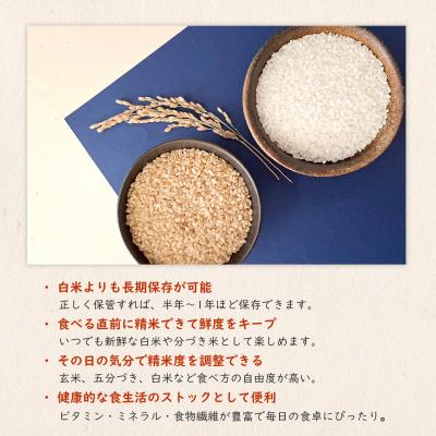 ふるさと納税 境町 米 玄米 コシヒカリ 30kg 令和8年産 国産 茨城県 境