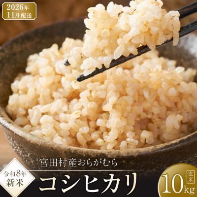 ふるさと納税 宮田村 [先行受付][令和8年米][新米]長野県宮田村産コシヒカリ/玄米10kg・18,000円/11月配送