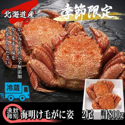 ふるさと納税 紋別市 【北海道産】海明け毛がに姿 2尾計約800g【期間限定5月18日まで受付予定】(冷蔵便)