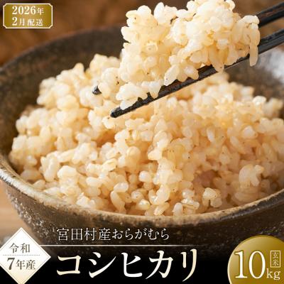 ふるさと納税 宮田村 [先行受付][令和7年米]長野県宮田村産コシヒカリ/玄米/10kg/令和8年2月配送