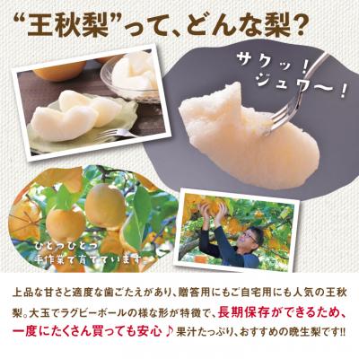 ふるさと納税 鳥取市 訳あり 王秋梨 5kg【やぶやフルーツガーデン】_1