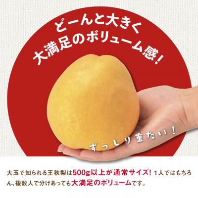 ふるさと納税 鳥取市 訳あり 王秋梨 5kg【やぶやフルーツガーデン】_2