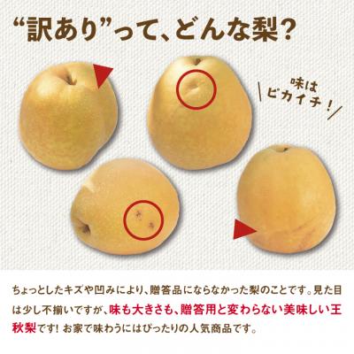 ふるさと納税 鳥取市 訳あり 王秋梨 5kg【やぶやフルーツガーデン】_3