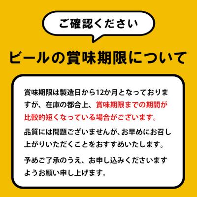 ふるさと納税 恵庭市 『定期便:全10回』ヱビスビール500ml×24本【300070223910】_1
