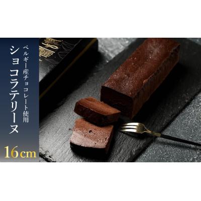 ふるさと納税 下関市 テリーヌショコラ 1本(16cm / 500g) ベルギーショコラ 冷凍