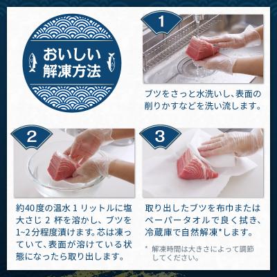 ふるさと納税 焼津市 本マグロ まぐろ 鮪 トロ ブツ 1kg(a20-493) |  | 02