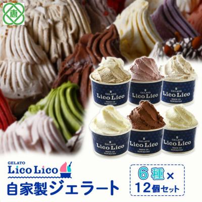 ふるさと納税 恵庭市 自家製ジェラート6種12個セット(温泉ミルク/ミルク/生チョコレート/他3種)[600025]