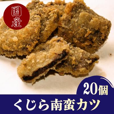 ふるさと納税 下関市 鯨南蛮カツ 計20個 下関 山口 BY104-NT-x