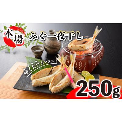 ふるさと納税 下関市 ふぐ 国産 一夜 干し 250g おつまみ ギフト