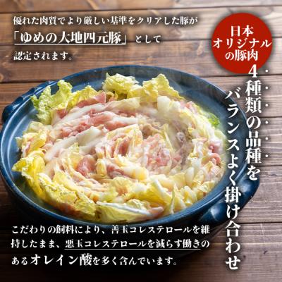ふるさと納税 羽幌町 【北海道ブランド豚】「ゆめの大地」 豚バラスライス 200g×15パック |  | 01