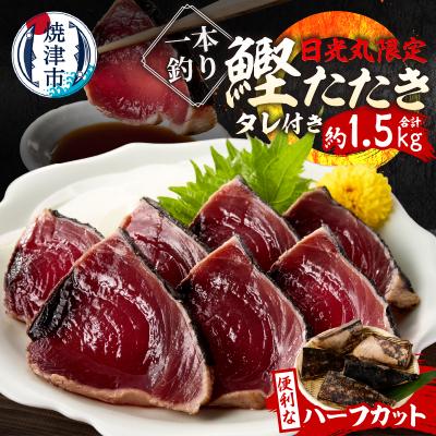 ふるさと納税 焼津市 日光丸限定 一本釣り 鰹たたき(ハーフカット)約1.5kg(a10-1066)