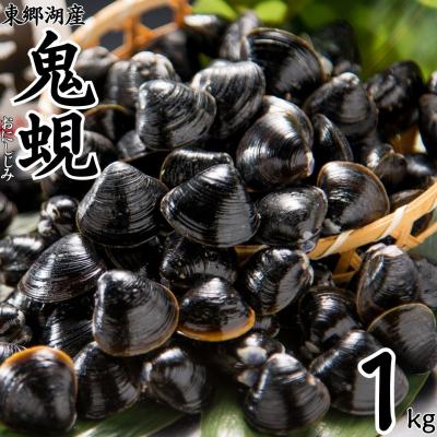 ふるさと納税 湯梨浜町 東郷湖産鬼蜆〔おにしじみ〕1kg(56K.)