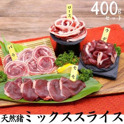 ふるさと納税 湯梨浜町 天然猪ミックススライス400gセット(93K.)