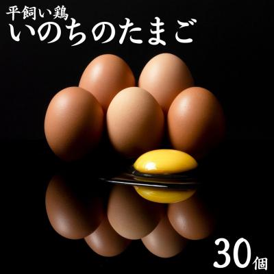 ふるさと納税 湯梨浜町 平飼い鶏の『いのちのたまご』30個(111M.)
