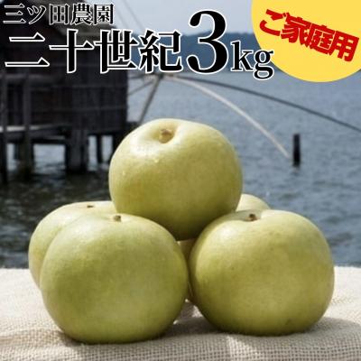ふるさと納税 湯梨浜町 三ツ田農園 二十世紀3kg〔ご家庭用〕(208M.)