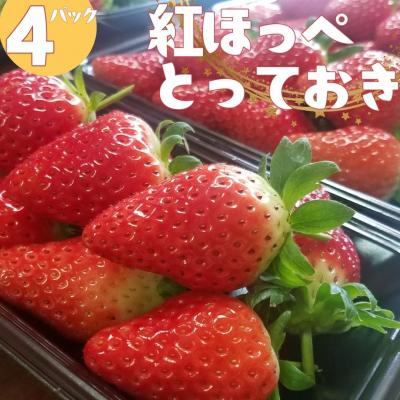 ふるさと納税 湯梨浜町 ハワイいちご(223M.)