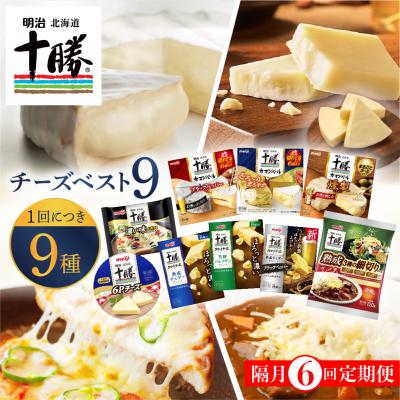 ふるさと納税 芽室町 [隔月6回コース定期便]明治北海道十勝チーズ 新・ベスト9 食べ比べセット me003-106-k6