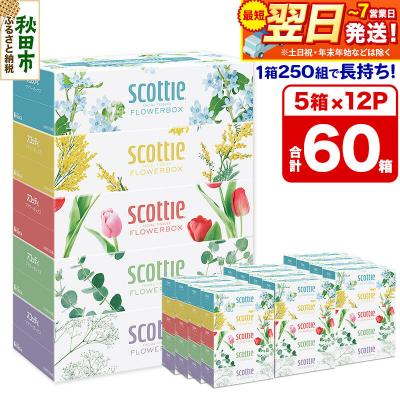 ふるさと納税 秋田市 ティッシュ スコッティ フラワーボックス 250組 5