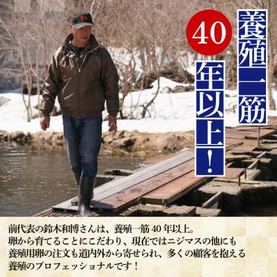 ふるさと納税 比布町 ぴっぷサーモン にじますイクラ 醤油漬け 320g【にじます工房】の画像