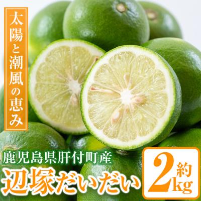 ふるさと納税 肝付町 辺塚だいだい 青果 2kg