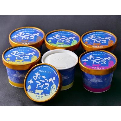 ふるさと納税 興部町 おこっぺアイス6個入り[09]