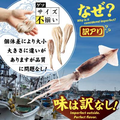 ふるさと納税 興部町 〔ワケあり〕北海道産　イカゲソ3.0kg |  | 01