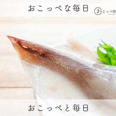 ふるさと納税 興部町 イカミミ1.5kg[285]