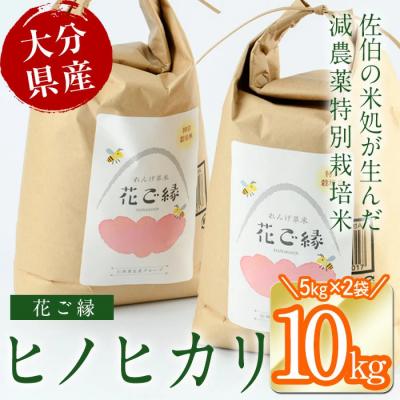 ふるさと納税 佐伯市 <先行予約受付中!2026年11月より発送開始予定>R8年産・はなご縁 (計10kg・5kg×2袋)