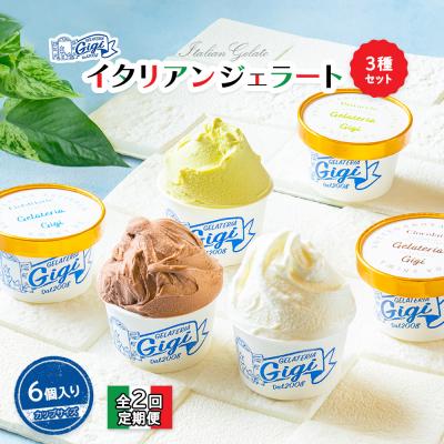 ふるさと納税 恵庭市 定期便全2回ジェラテリアGigiのイタリアンジェラート3種セット カップサイズ6個[430071]