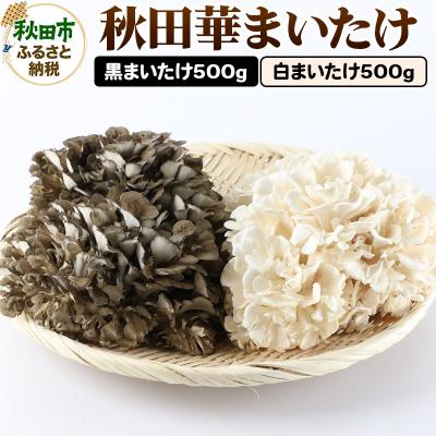 ふるさと納税 秋田市 秋田華まいたけセット 黒まいたけ 白まいたけ 各約500g 舞茸 きのこ|15_jjk-040101