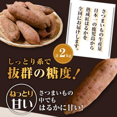 ふるさと納税 鹿児島市 畑の金貨 生芋 紅はるか2kg　K181-004 |  | 02
