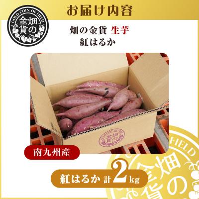 ふるさと納税 鹿児島市 畑の金貨 生芋 紅はるか2kg　K181-004 |  | 03