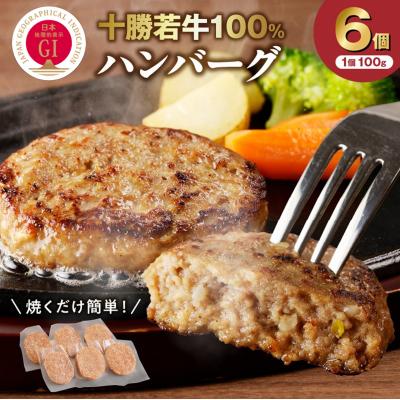 ふるさと納税 清水町 ジューシーなのにヘルシー!十勝若牛100% 十勝若牛ハンバーグ 100g×6個