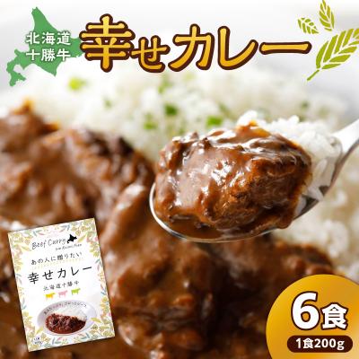 ふるさと納税 清水町 十勝清水コスモスファーム 幸せカレー 200g×6食