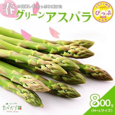 ふるさと納税 比布町 [2026年4月中旬から発送]グリーンアスパラ M〜Lサイズ 800g[たかだ畑]