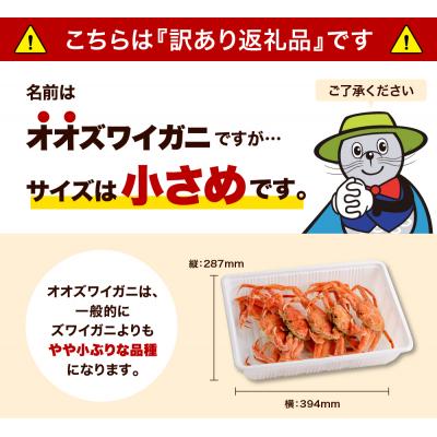 ふるさと納税 えりも町 えりも【マルデン特製】訳ありボイルオオズワイガニ姿1kg(4尾〜5尾)【er002-048-a】 |  | 01