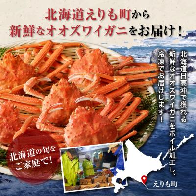 ふるさと納税 えりも町 えりも【マルデン特製】訳ありボイルオオズワイガニ姿1kg(4尾〜5尾)【er002-048-a】 |  | 03
