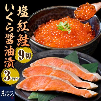 ふるさと納税 えりも町 えりも[マルデン厳選]塩紅鮭&amp;北海道産いくら醤油漬セット[er002-011]
