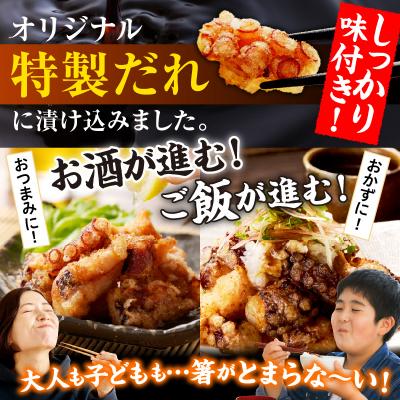 ふるさと納税 えりも町 えりも【マルデン特製】北海道産たこ唐揚げ150g×7袋【er002-014-b】 |  | 01