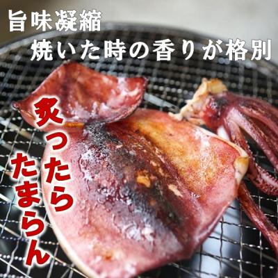 ふるさと納税 普代村 北三陸産 イカ一夜干し 3枚入×1袋 いか イカ焼き いかめし |  | 01
