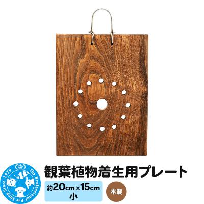 ふるさと納税 邑楽町 観葉植物着生用プレート 木製 小(約20×15cm) 1枚|09_chm-cm0101aa